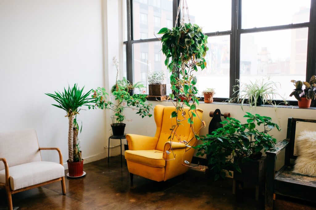 A nook in a home surrounded by potted plants.